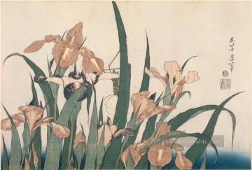 Iris und Grashüpfer Katsushika Hokusai Japanisch Ölgemälde